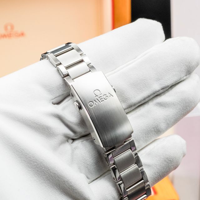 Omega Seamaster 300 234.30.41.21.01.001 Image 3